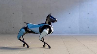 A robot dog with a sleek plastic body stands in a room with concrete floors and walls, its body changing colors from gray to blue.