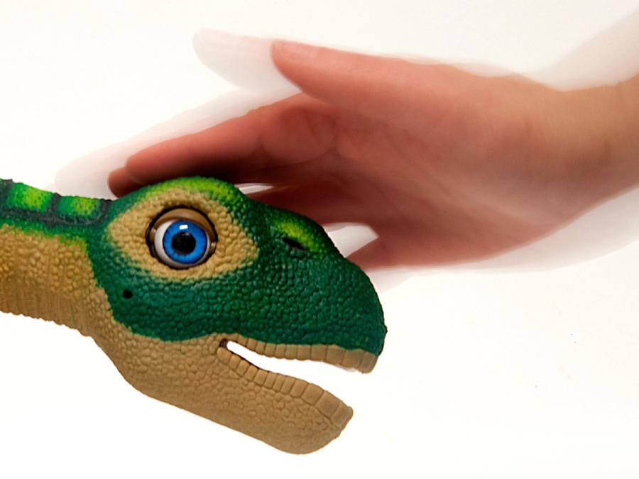 A hand pets Pleo's head.