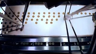 Two high speed robot arms consisting of thin tubes and soft grippers pick cookies from a conveyor belt and place them into boxes.