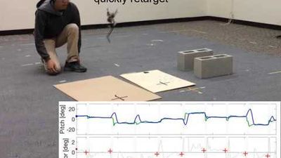 Male researcher observes one-legged robot Salto jumping in mid-air at a robotics lab.