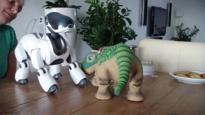 When Pleo met Aibo.