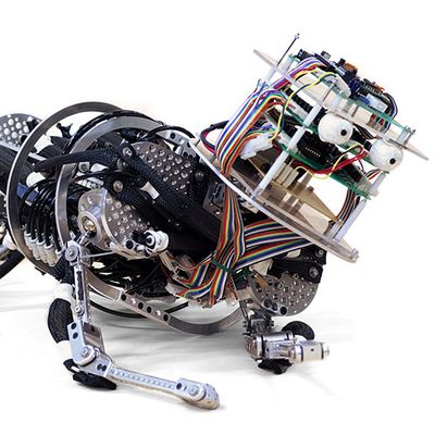 An infant shaped robot whose internal structure and electronics are exposed crawls on it's hands and knees.