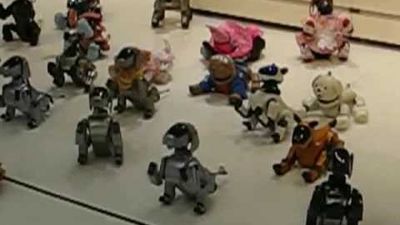 Aibo celebrates its 10th anniversary.