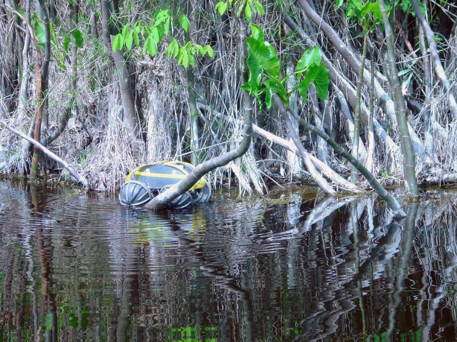 A yellow and black vehicle on water from which a forest appears to be growing.