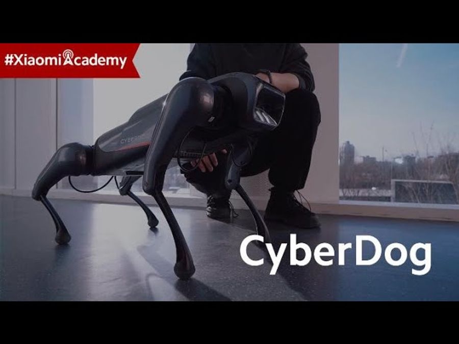 Meet CyberDog.