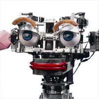 Close-up of a robot with an aluminum frame and cartoonish, friendly parts that give it a personality, including a flexible red mouth, plastic eyeballs, fake eyebrows and eyelids, and pink paper folded to look like ears.