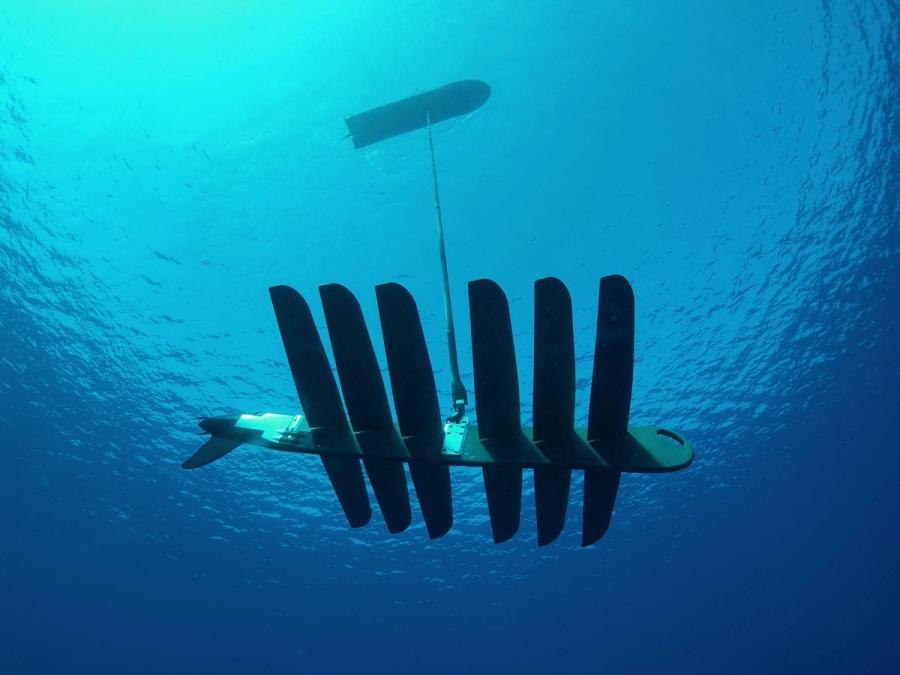 Underwater view of panels attached to a rope hanging from board-like silhouette in the distance. The part in the water has six long horizontal fins on a vertical base.