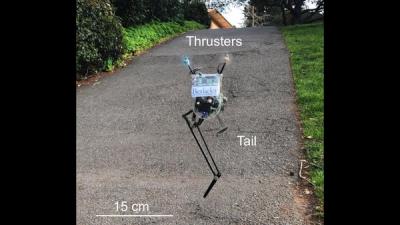 Small one-legged robot Salto hops on a gravel path.