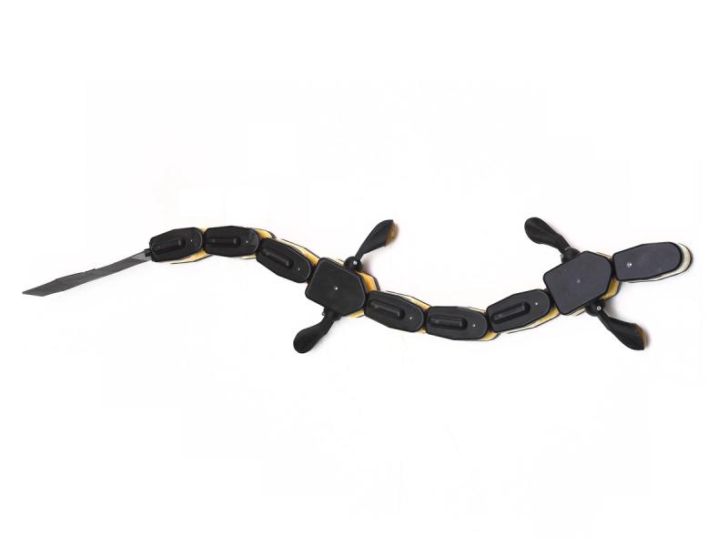 A black salamander shaped robot with four flipper feet and a segmented body with a tail.