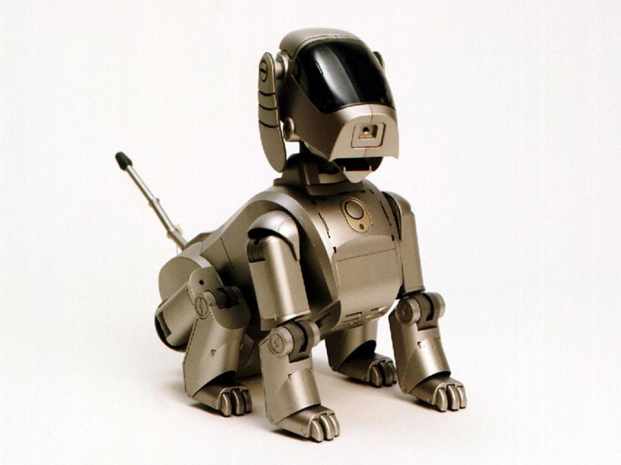 A robotic dog on a white background.