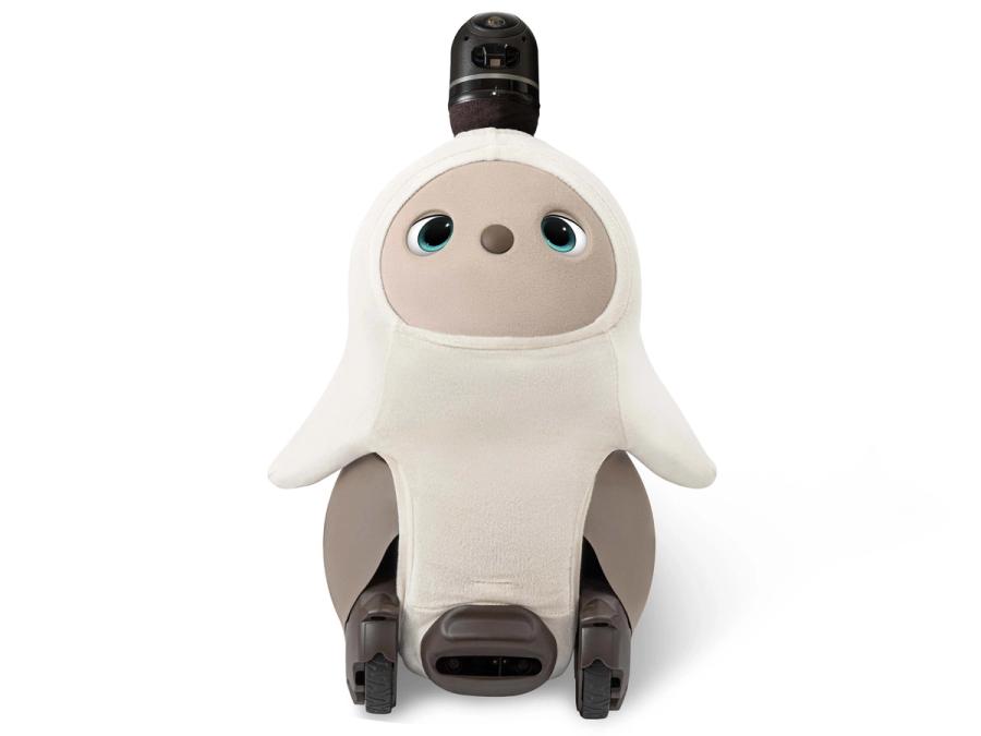 A small blue eyed robot with two wheels, a soft white bodice, and a camera with sensors sticking out of it's head.