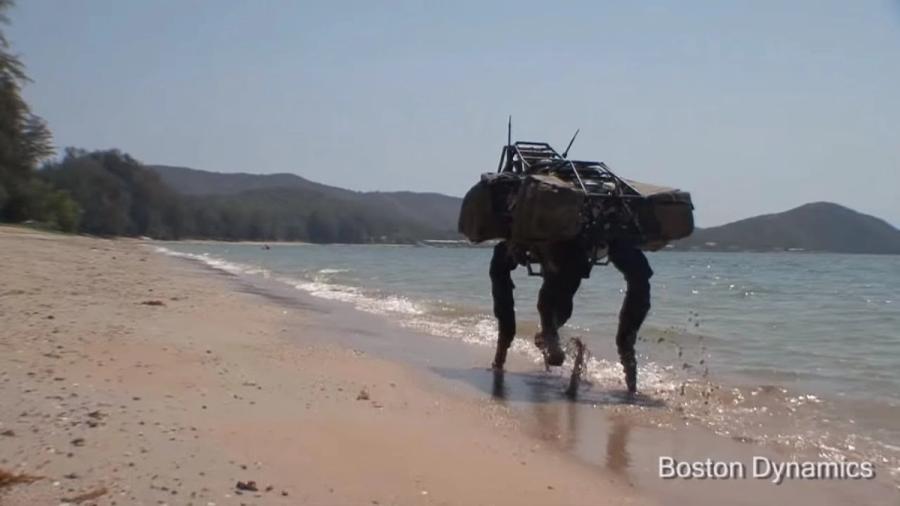 BigDog goes to the beach.