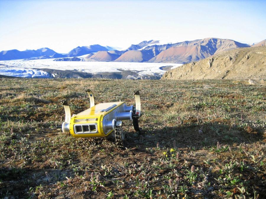 A yellow robot with circularly curved "legs" walks on dry grass.