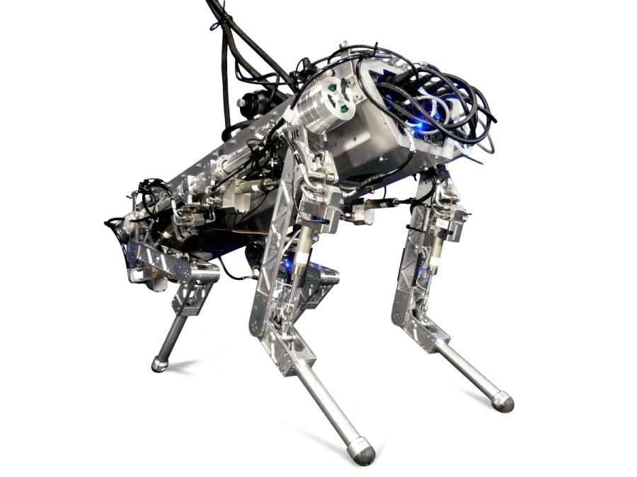 A metallic and high-tech looking quadruped robot.