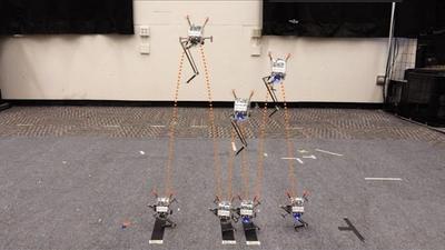 Composite photo of Salto performing three jumps in a row with dotted lines showing its trajectory.