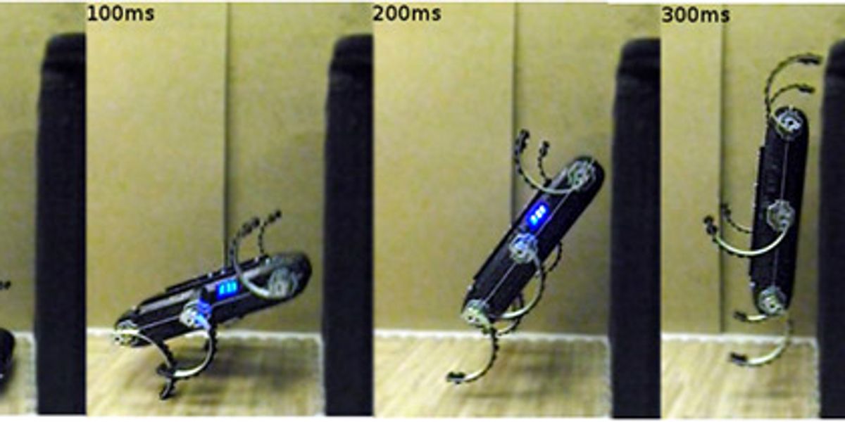 This Robot's Acrobatic Leaps Are the Coolest Thing You'll See Today