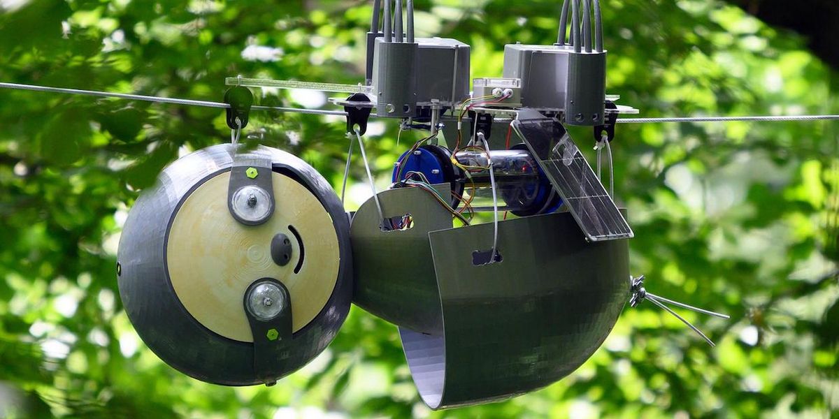 Why We Need Robot Sloths