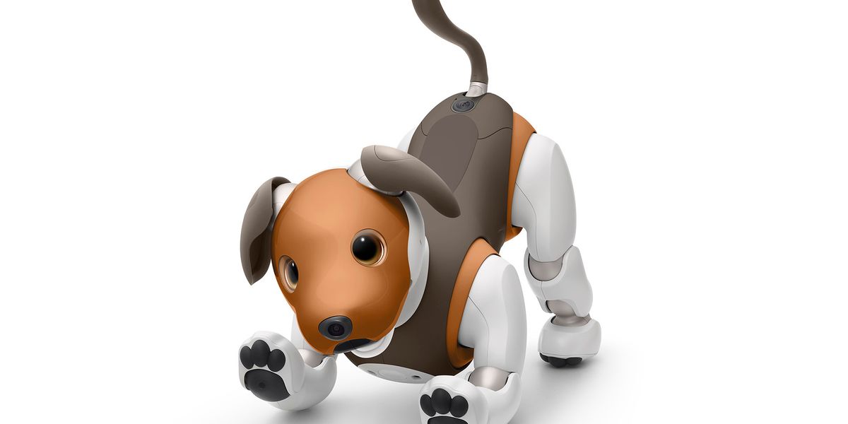 Sony Upgrading Aibo With New Home Security Features, API Access