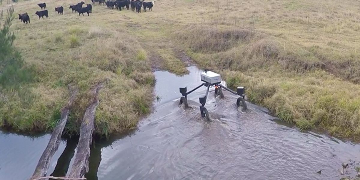 SwagBot to Herd Cattle on Australian Ranches