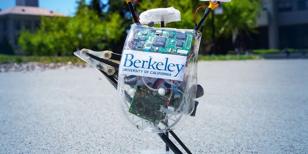 UC Berkeley's "Hyper-Aggressive Pogo-Stick" Robot Now Works Outdoors